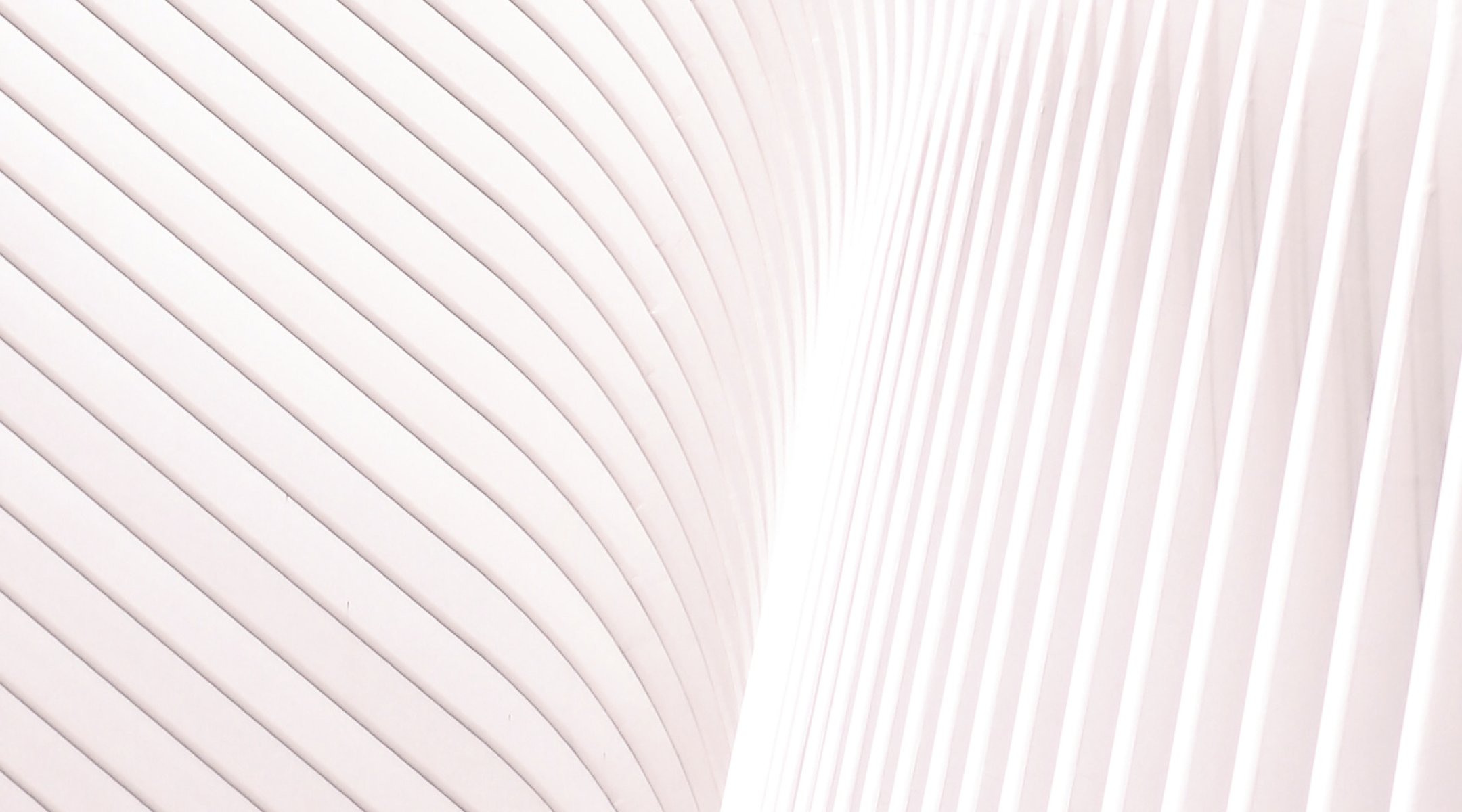 私たちの会社について